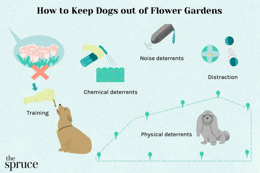 How to Keep Dogs Out of Flower Gardens
