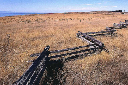 Zig-zag style wooden fence in a grassland environment